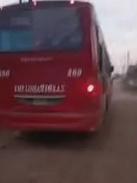 colectivo