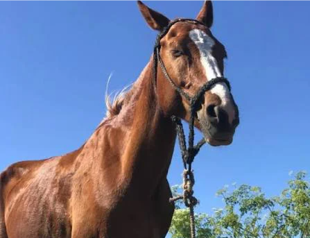 images - 2026-03-30T141043.144