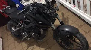 mor negra