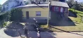 adolesc