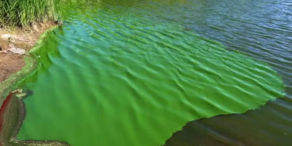 SXZ7E2N4INCOXPLQIUREZHAH2A