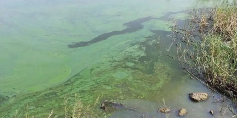 DGH667S4BJAV7ET4RNDYOC4BLY